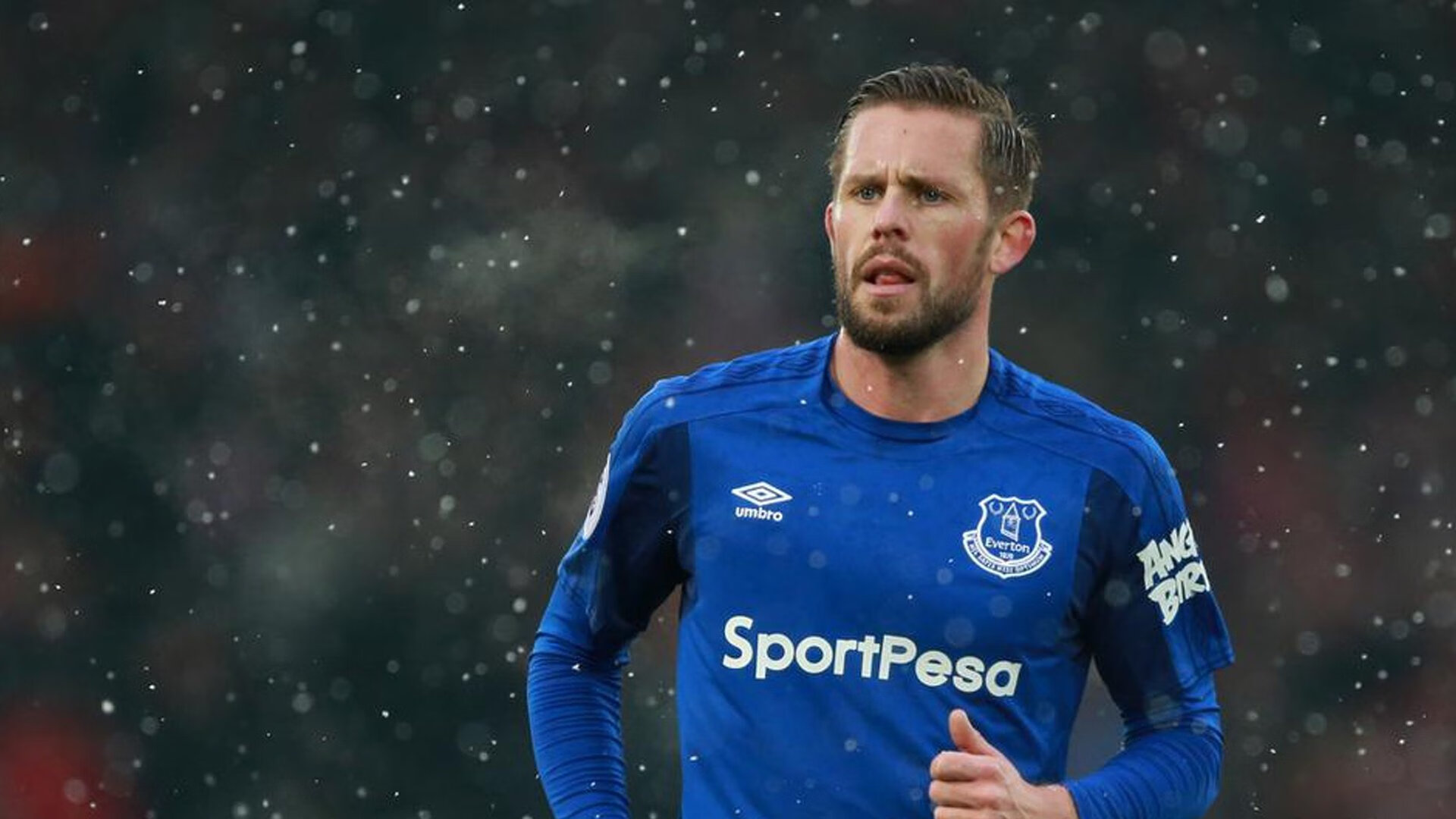 荷兰队在欧洲预赛中表现出色，晋级希望巨大