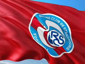 最强泰山队回归：10轮不败主场8连胜，泰山队最新