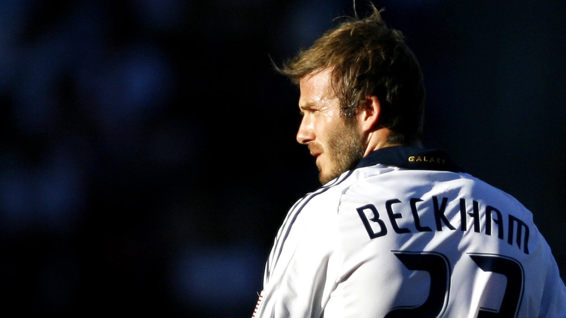 球员赛季表现赢得专家认可，赛季最佳球员